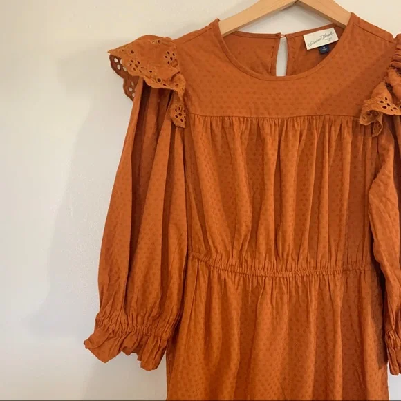 Universal Thread Rust Ruffle Long Sleeve Ruffle Dress - Picture 7 of 14